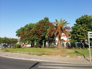 Loja - Venteira, Amadora, Lisboa - Miniatura: 5/9
