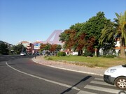 Loja - Venteira, Amadora, Lisboa - Miniatura: 7/9