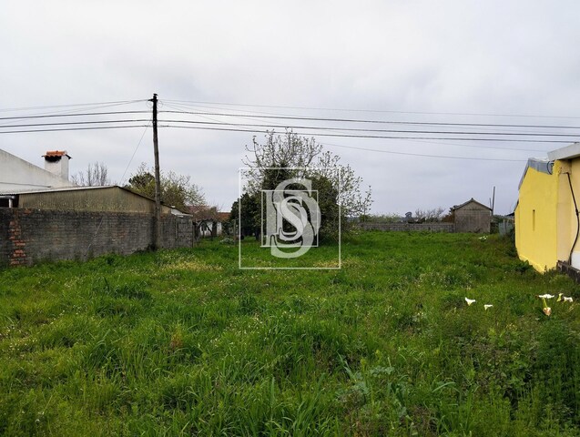 Terreno R�stico T0 - �lhavo, �lhavo, Aveiro - Imagem grande