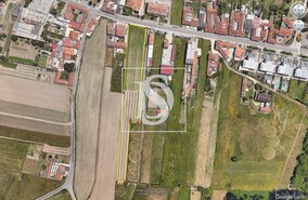Terreno Rstico T0 - lhavo, lhavo, Aveiro - Miniatura: 5/8
