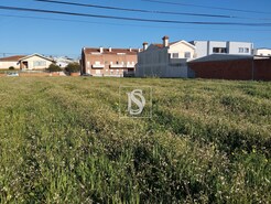 Terreno Rstico T0 - lhavo, lhavo, Aveiro - Miniatura: 8/8