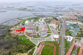 Apartamento T1 - Glria, Aveiro, Aveiro - Miniatura: 2/11