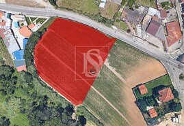 Terreno R�stico - Oliveirinha, Aveiro, Aveiro - Miniatura: 1/3