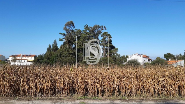 Terreno Rústico T0 - São Bernardo, Aveiro, Aveiro - Imagem grande