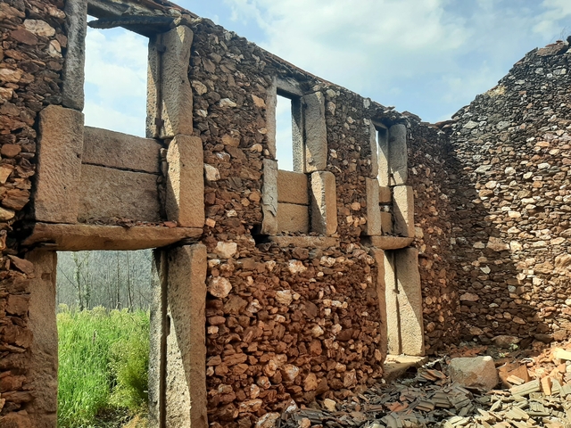 Moradia - Talhadas, Sever do Vouga, Aveiro - Imagem grande