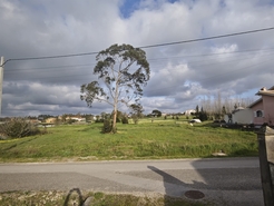 Terreno Urbano - Seixo de Gat�es, Montemor-o-Velho, Coimbra - Miniatura: 4/6