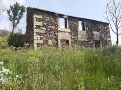 Moradia - Talhadas, Sever do Vouga, Aveiro - Miniatura: 5/16