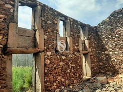 Ruina T0 - Talhadas, Sever do Vouga, Aveiro