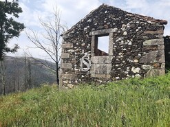 Ruina T0 - Talhadas, Sever do Vouga, Aveiro - Miniatura: 5/16