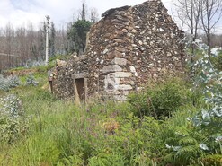Ruina T0 - Talhadas, Sever do Vouga, Aveiro - Miniatura: 11/16