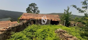 Ruina T0 - Talhadas, Sever do Vouga, Aveiro - Miniatura: 13/16