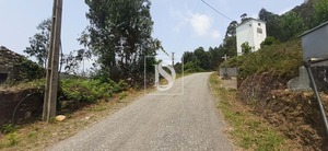 Ruina T0 - Talhadas, Sever do Vouga, Aveiro - Miniatura: 16/16