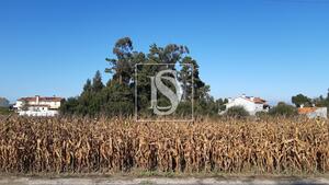 Terreno R�stico - S�o Bernardo, Aveiro, Aveiro