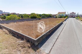 Terreno Rstico T0 - Vagos, Vagos, Aveiro - Miniatura: 1/6
