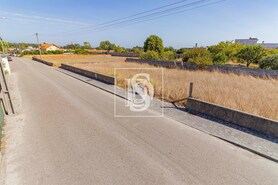 Terreno Rstico T0 - Vagos, Vagos, Aveiro - Miniatura: 5/6