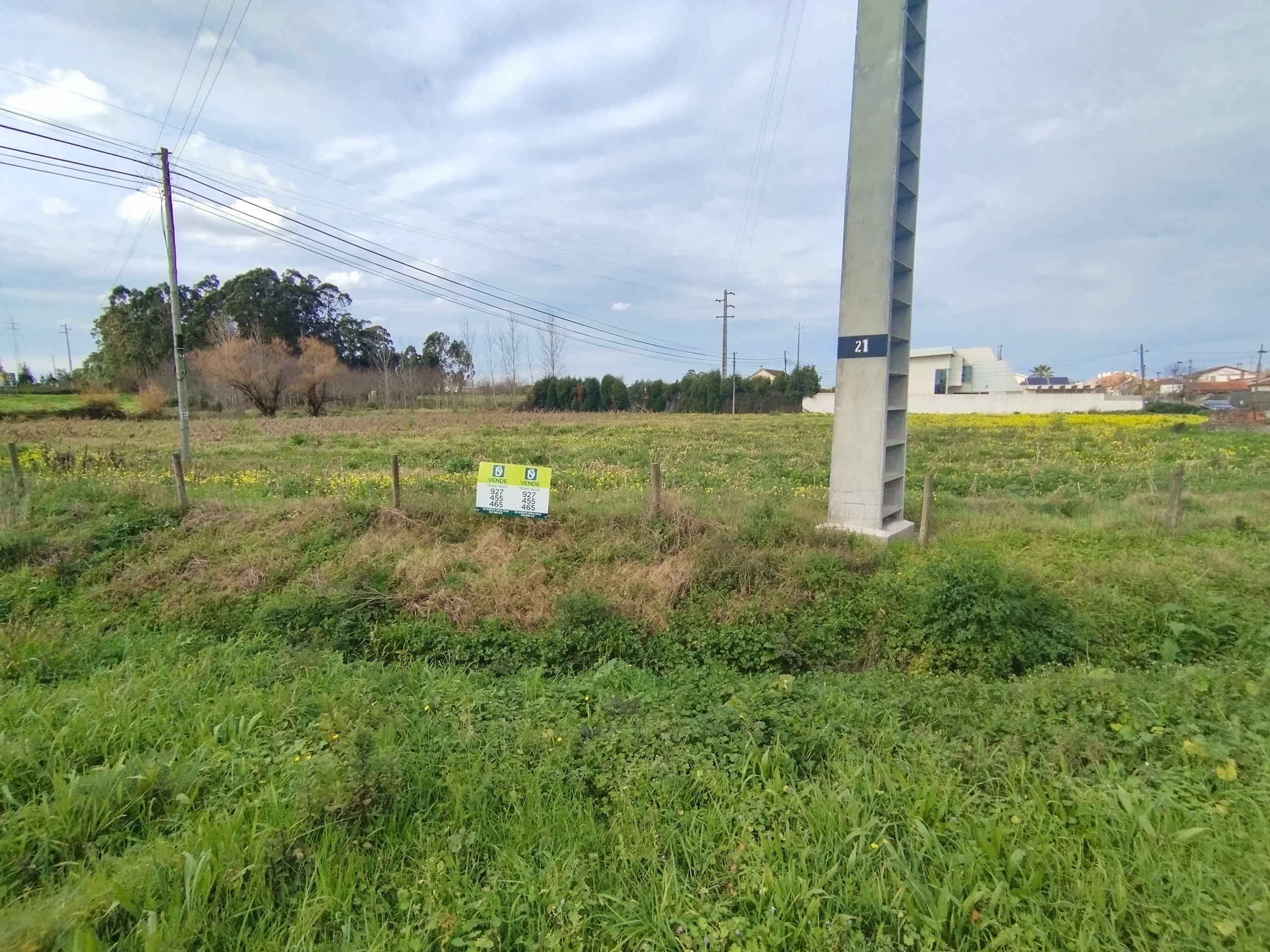 Terreno R�stico - �lhavo, �lhavo, Aveiro - Miniatura: 6/9