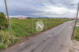Terreno Rstico T0 - lhavo, lhavo, Aveiro - Miniatura: 2/7