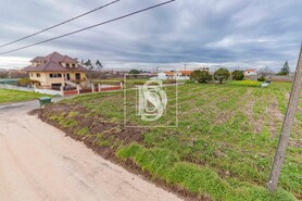 Terreno Rstico T0 - lhavo, lhavo, Aveiro - Miniatura: 3/7
