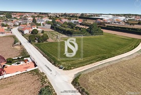 Terreno Rstico T0 - lhavo, lhavo, Aveiro - Miniatura: 7/7