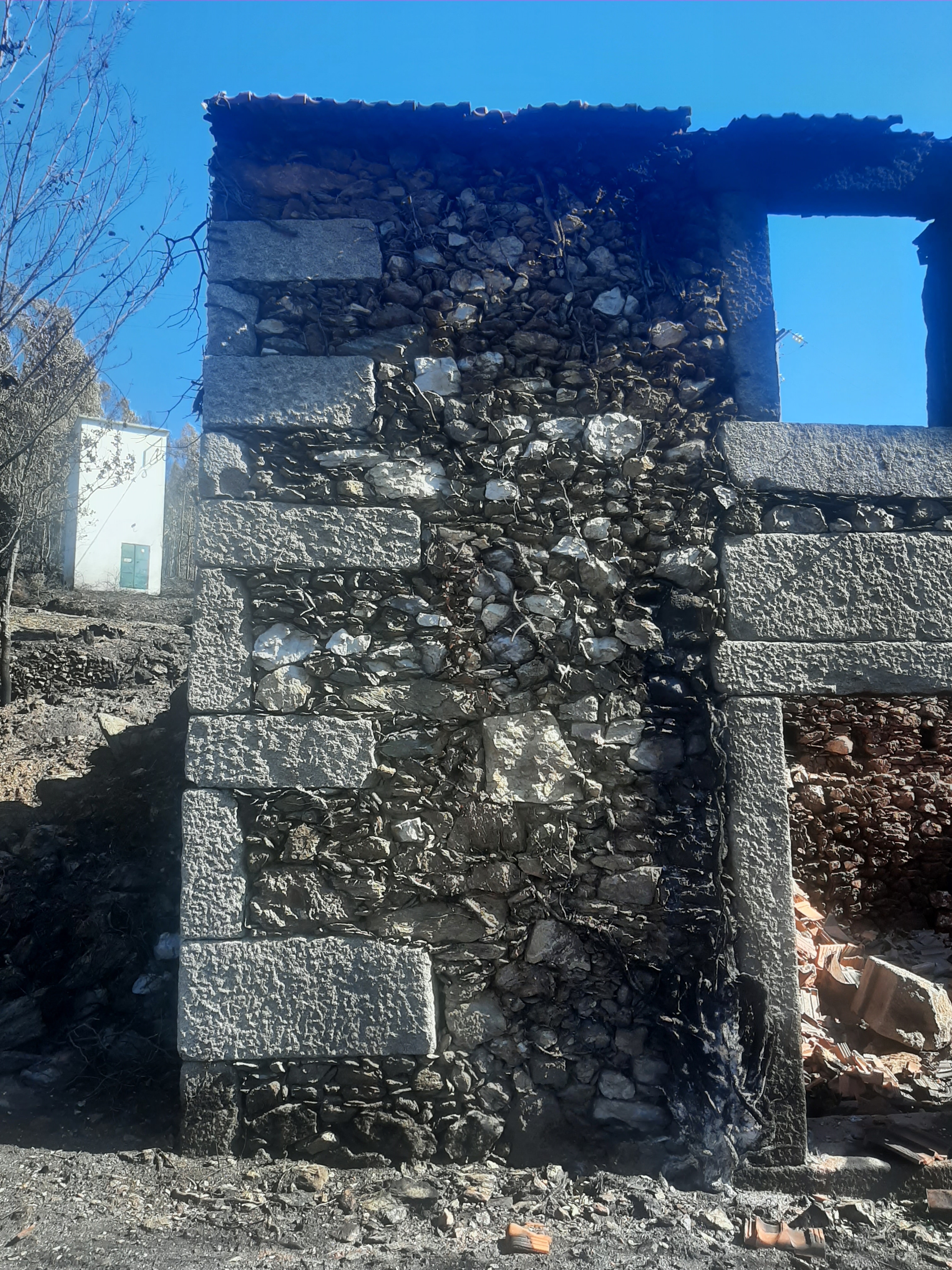Moradia - Talhadas, Sever do Vouga, Aveiro - Miniatura: 1/16