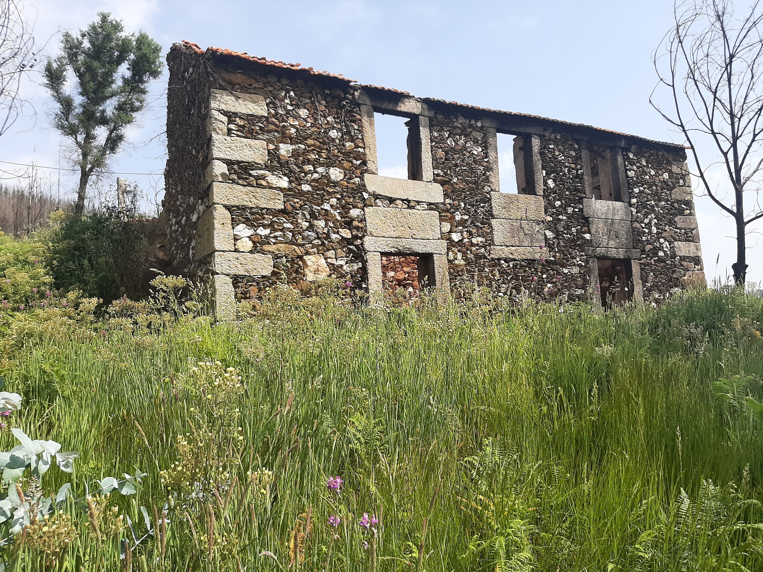 Moradia - Talhadas, Sever do Vouga, Aveiro - Miniatura: 5/16