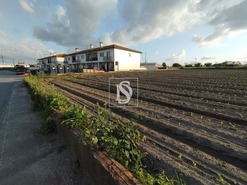 Terreno Rstico T0 - Oliveirinha, Aveiro, Aveiro - Miniatura: 4/7