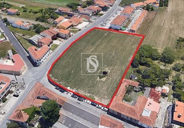 Terreno Rstico T0 - Oliveirinha, Aveiro, Aveiro - Miniatura: 7/7