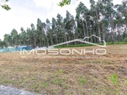 Terreno Rstico - Marinha Grande, Marinha Grande, Leiria - Miniatura: 2/5