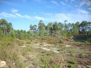 Terreno Rstico - Marinha Grande, Marinha Grande, Leiria - Miniatura: 2/3