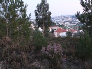 Terreno Rstico - Arrabal, Leiria, Leiria - Miniatura: 8/9