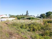 Terreno Rstico - Marinha Grande, Marinha Grande, Leiria - Miniatura: 4/7