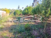 Terreno Rstico - Marinha Grande, Marinha Grande, Leiria - Miniatura: 6/7