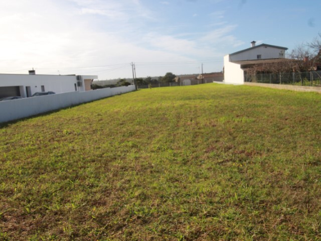 Terreno R�stico - Monte Real, Leiria, Leiria - Imagem grande