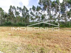 Terreno Rstico - Marinha Grande, Marinha Grande, Leiria
