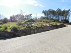 Terreno Rstico - Maceira, Leiria, Leiria