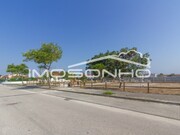 Terreno Rstico - Marinha Grande, Marinha Grande, Leiria - Miniatura: 5/5