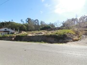Terreno Rstico - Maceira, Leiria, Leiria - Miniatura: 3/3