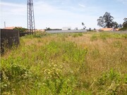 Terreno Rstico - Marinha Grande, Marinha Grande, Leiria - Miniatura: 2/3