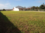 Terreno R�stico - Monte Real, Leiria, Leiria - Miniatura: 2/8