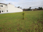Terreno R�stico - Monte Real, Leiria, Leiria - Miniatura: 4/8