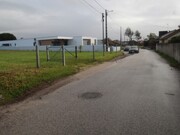 Terreno R�stico - Monte Real, Leiria, Leiria - Miniatura: 7/8