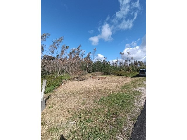 Terreno R�stico - Marinha Grande, Marinha Grande, Leiria - Imagem grande