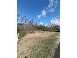 Terreno R�stico - Marinha Grande, Marinha Grande, Leiria