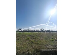 Terreno R�stico - Amor, Leiria, Leiria