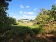 Terreno Rstico - Maceira, Leiria, Leiria - Miniatura: 1/7