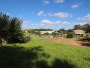 Terreno Rstico - Maceira, Leiria, Leiria - Miniatura: 2/7