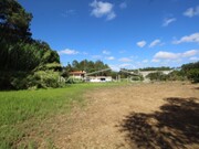Terreno Rstico - Maceira, Leiria, Leiria - Miniatura: 3/7
