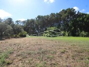 Terreno Rstico - Maceira, Leiria, Leiria - Miniatura: 4/7