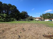 Terreno Rstico - Maceira, Leiria, Leiria - Miniatura: 5/7