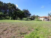 Terreno Rstico - Maceira, Leiria, Leiria - Miniatura: 6/7